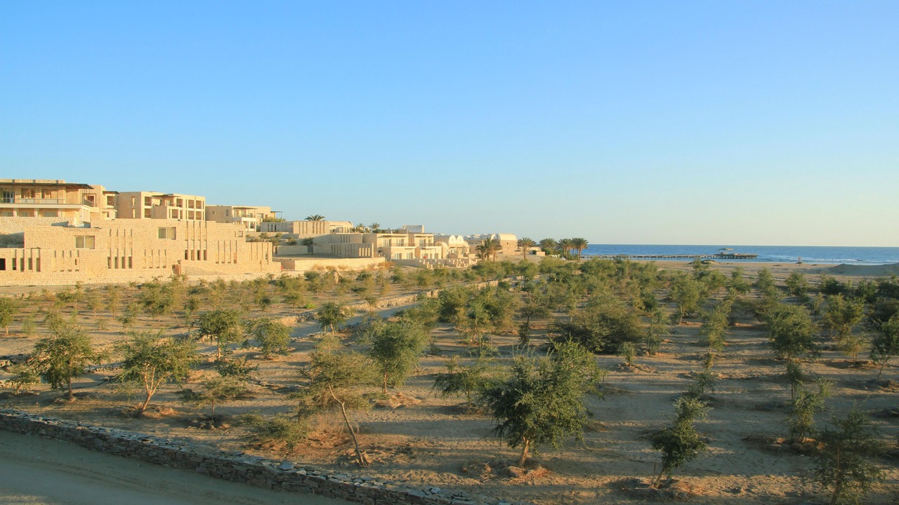 Photo of Outdoor in Marsa Alam