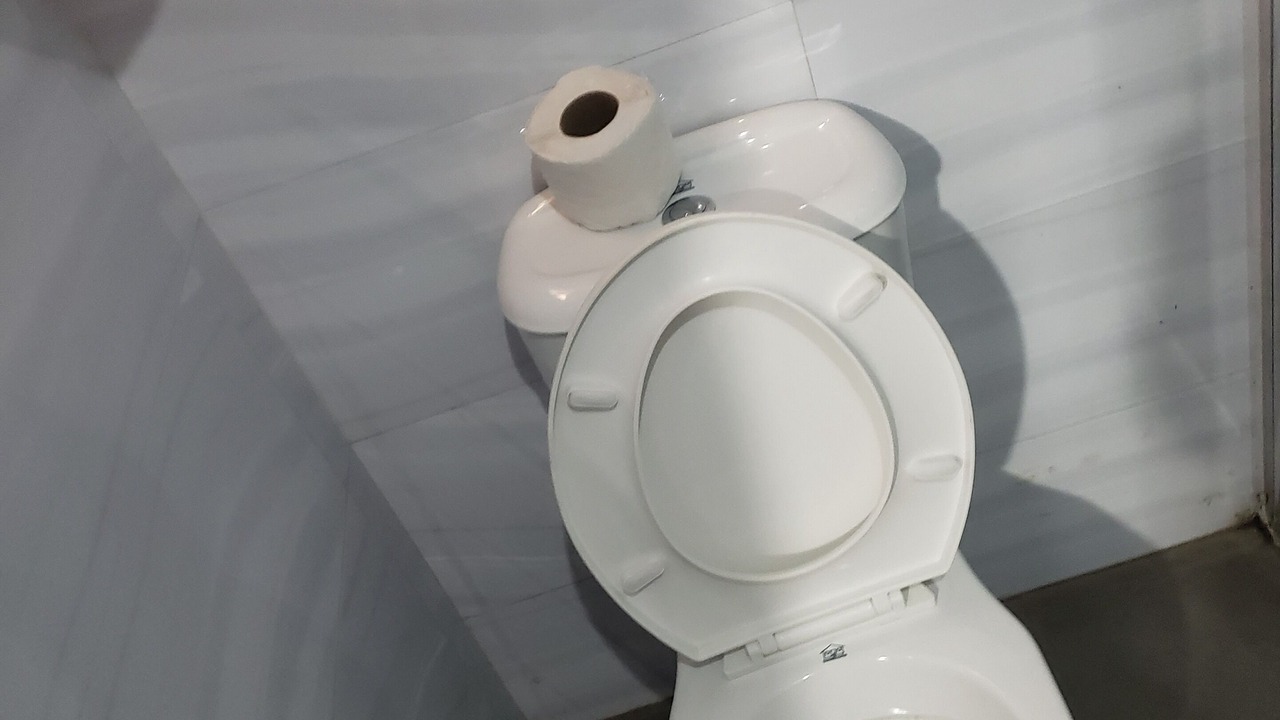 Photo of Bathroom in Ife