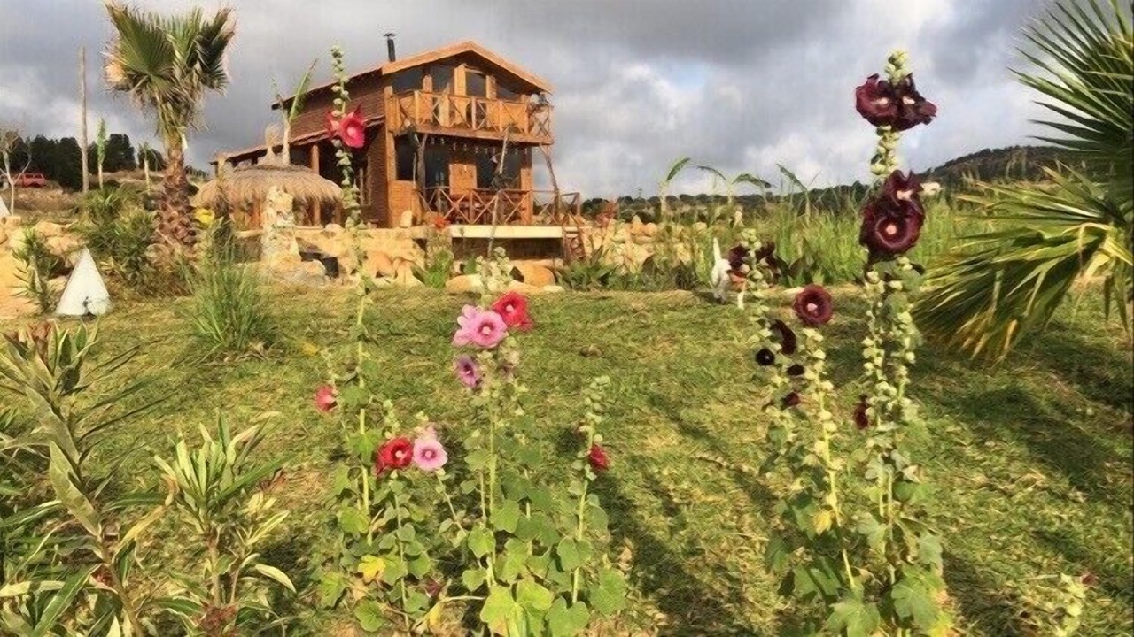 Photo of Outdoor in Hammam Bent Djedidi