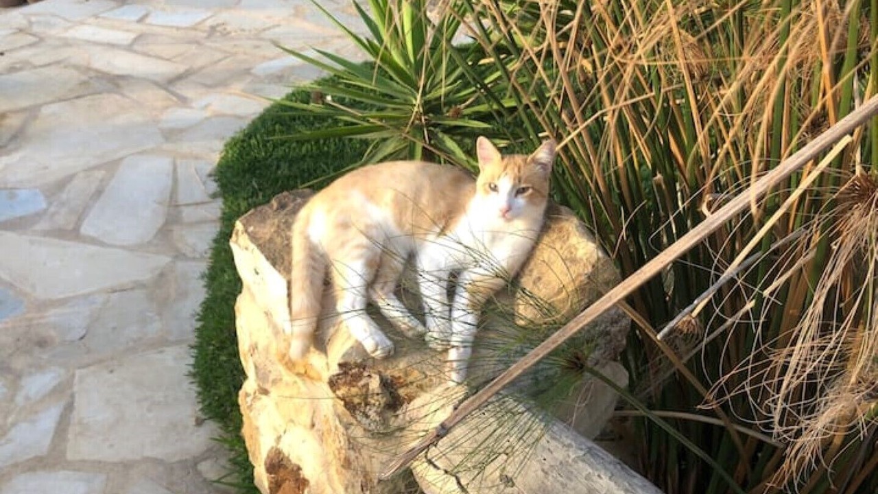 Photo of Outdoor in Hammam Bent Djedidi