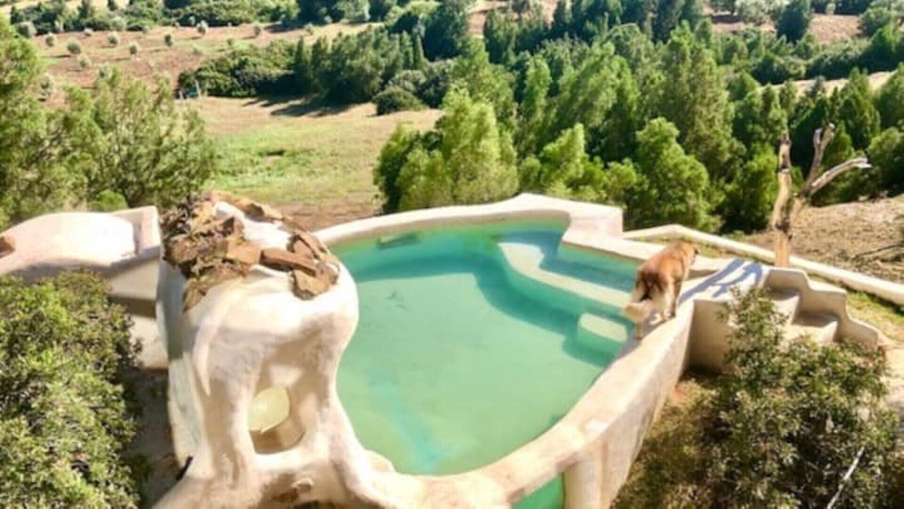 Photo of Outdoor in Hammam Bent Djedidi