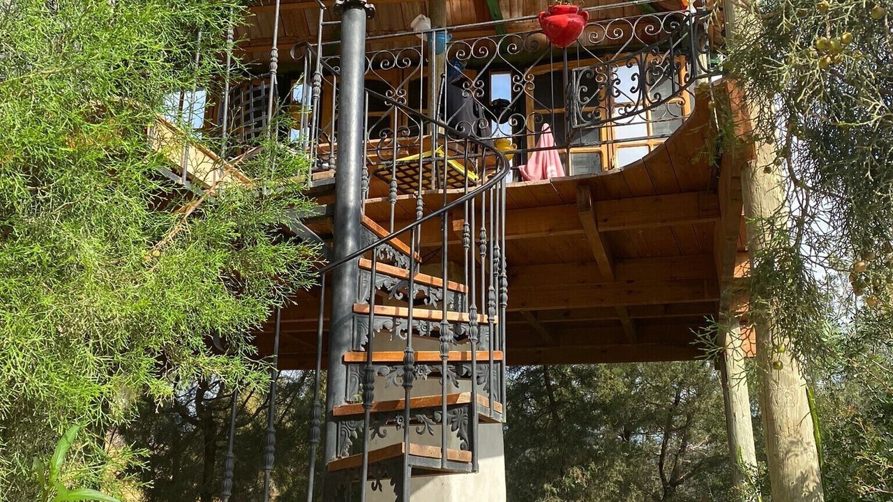 Photo of Outdoor in Hammam Bent Djedidi