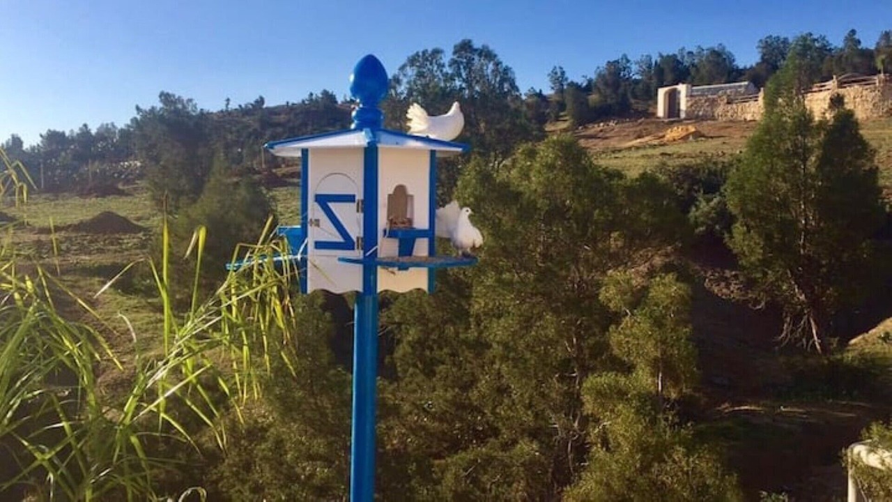 Photo of Outdoor in Hammam Bent Djedidi