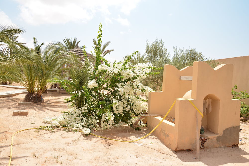 Photo of Others in Mellita