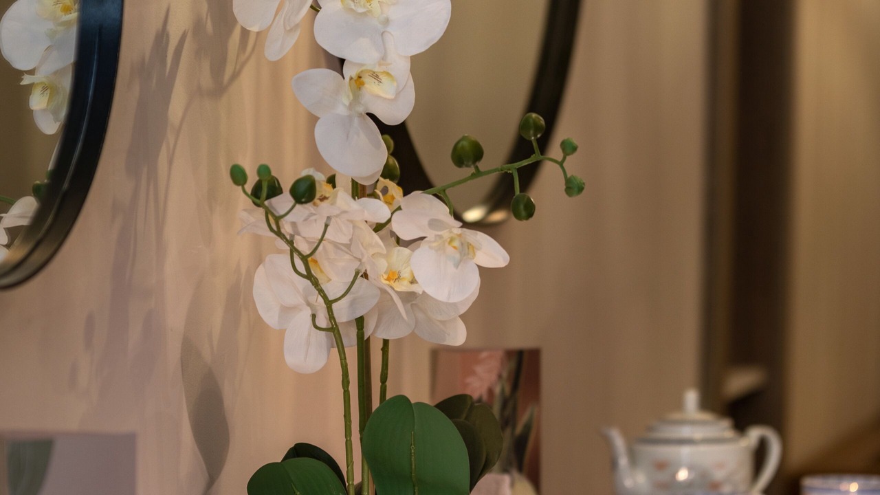 Photo of Bedroom in Bardo