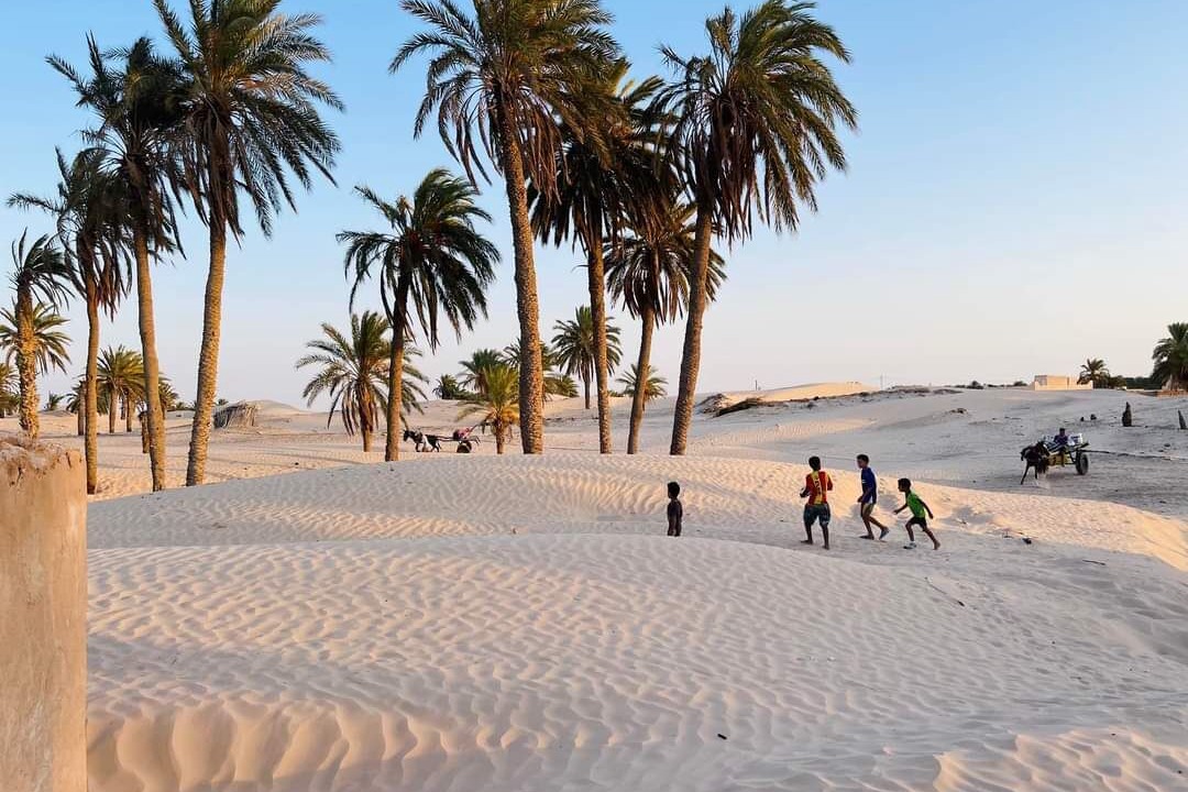 Photo of Outdoor in El Faouar