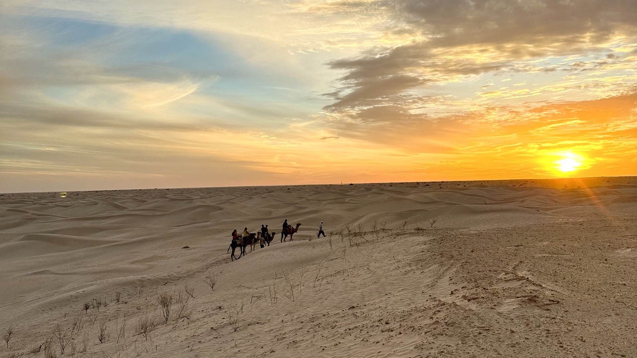 Photo of Others in El Faouar