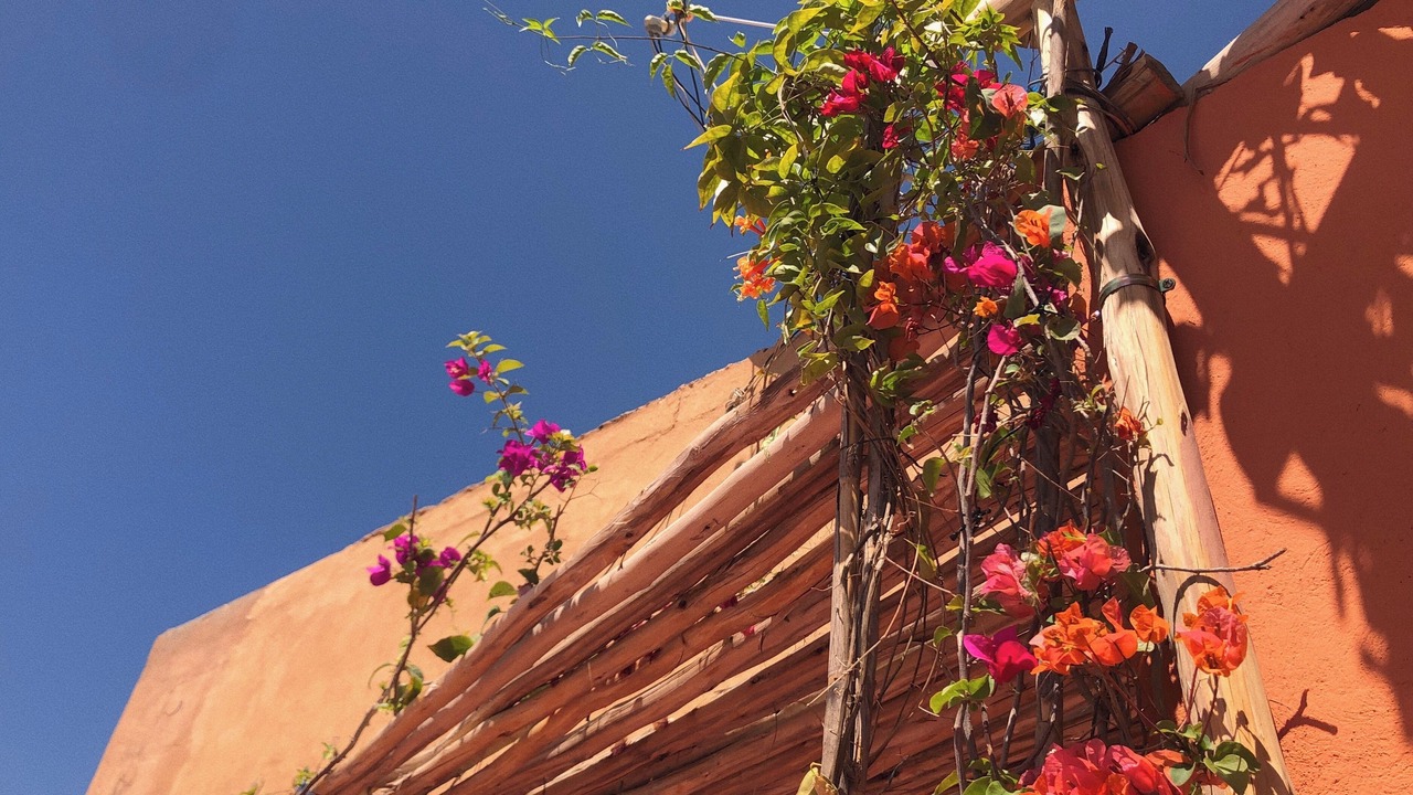 Photo of Outdoor in Riad Zitoun Jdid