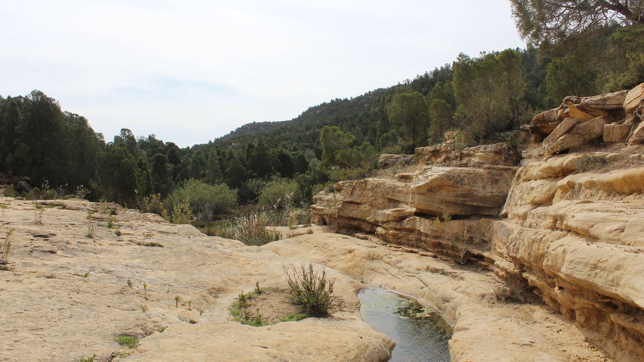 Photo of Outdoor in Hammam Bent Djedidi