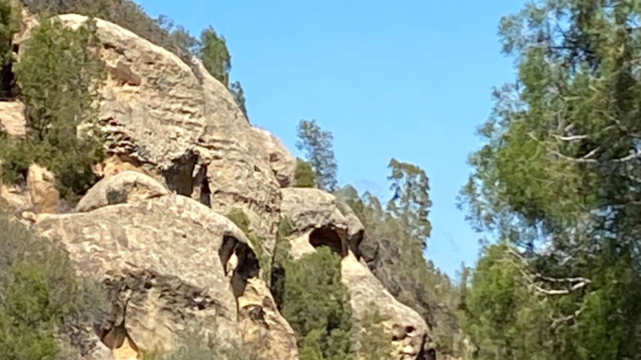 Photo of Outdoor in Hammam Bent Djedidi