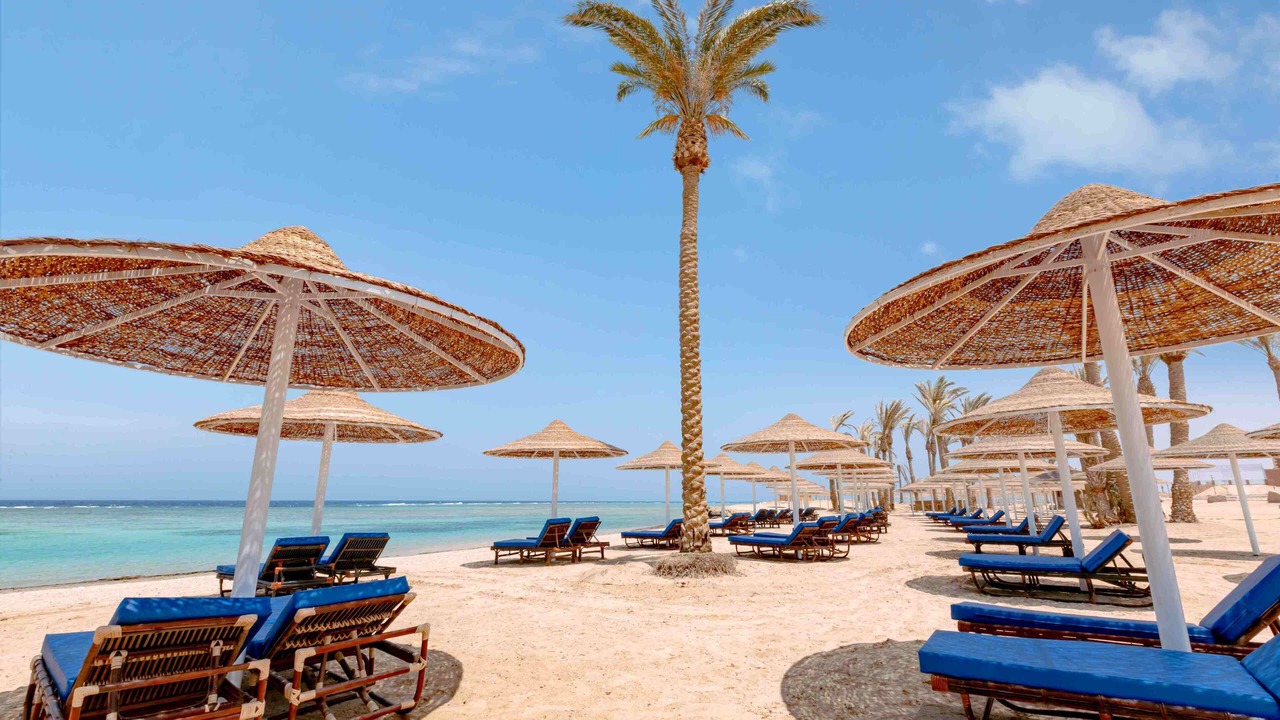 Photo of Others in Marsa Alam