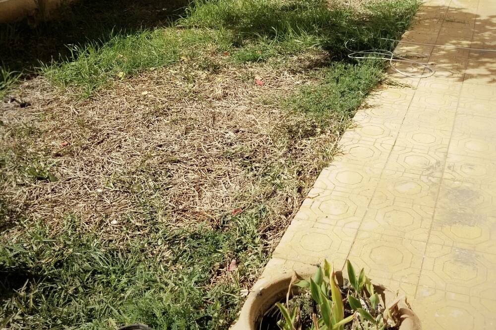 Photo of Outdoor in Jardins De Carthage