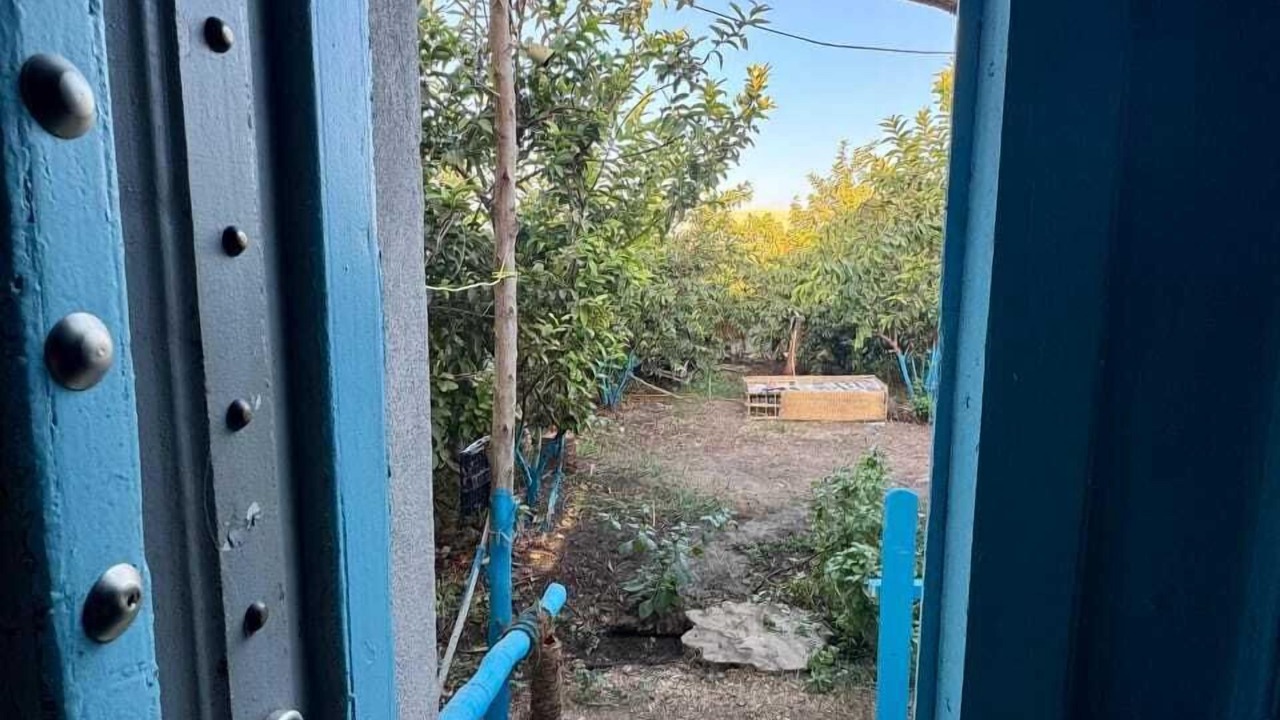 Photo of Outdoor in Luxor