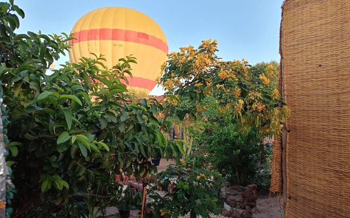 Photo of Outdoor in Luxor