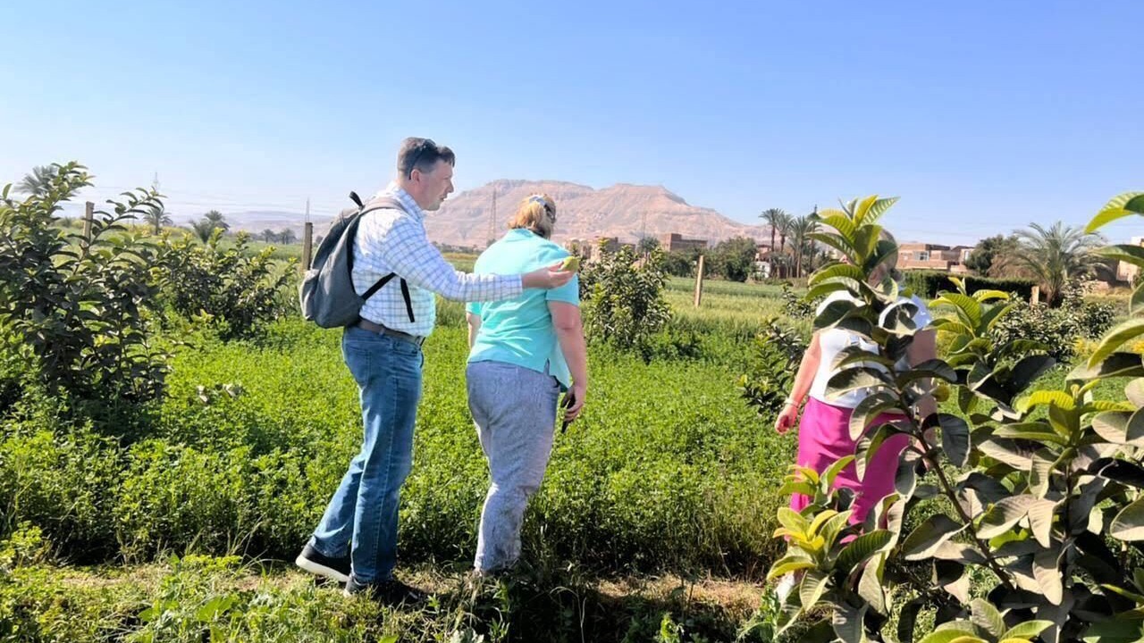 Photo of Outdoor in Luxor