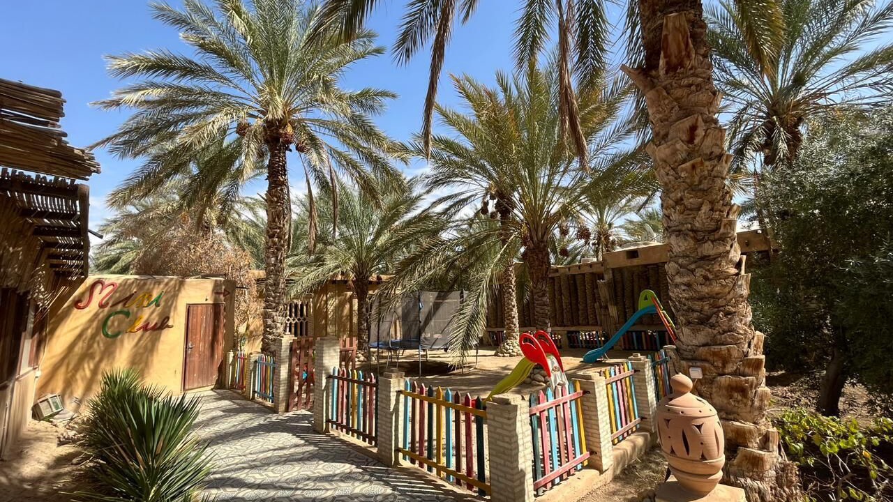 Photo of Outdoor in Tozeur