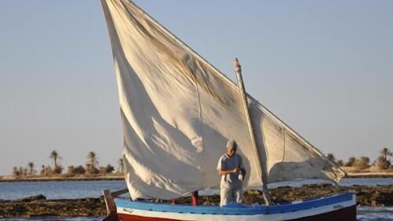 Photo of Others in Djerba Ajim