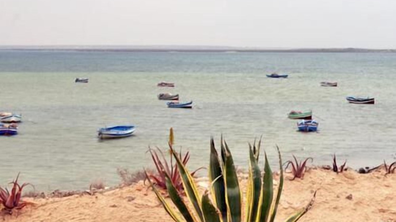 Photo of Others in Djerba Ajim