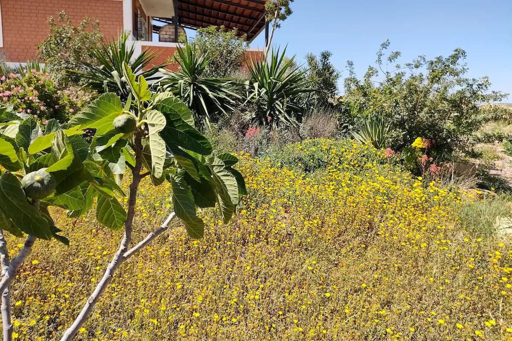 Photo of Outdoor in Fahs