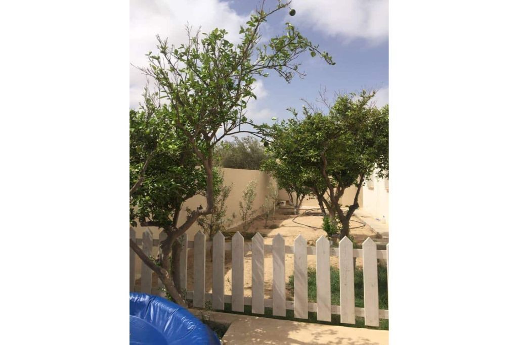 Photo of Outdoor in Houmt Souk