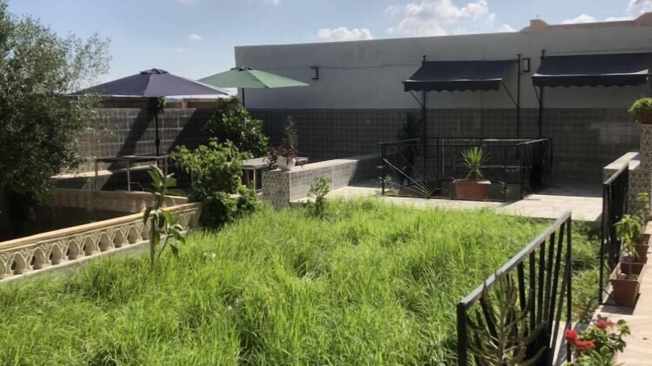 Photo of Outdoor in Fernana