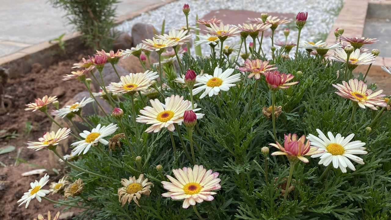 Photo of Outdoor in District of Sidi Youssef Ben Ali