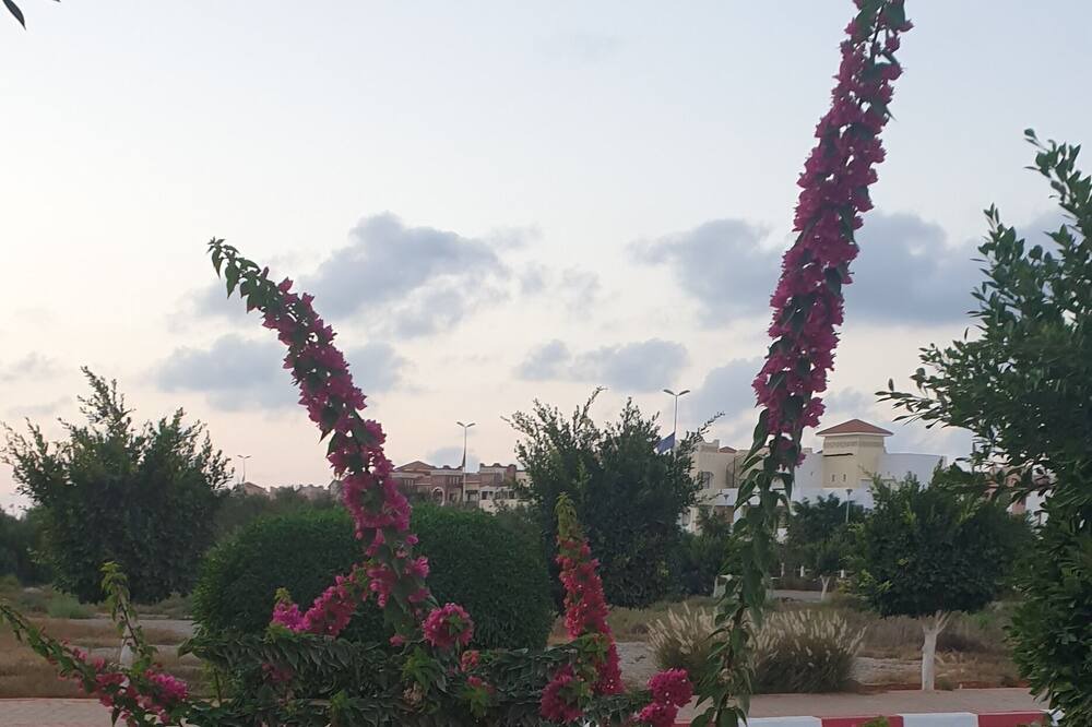 Photo of Outdoor in Marina