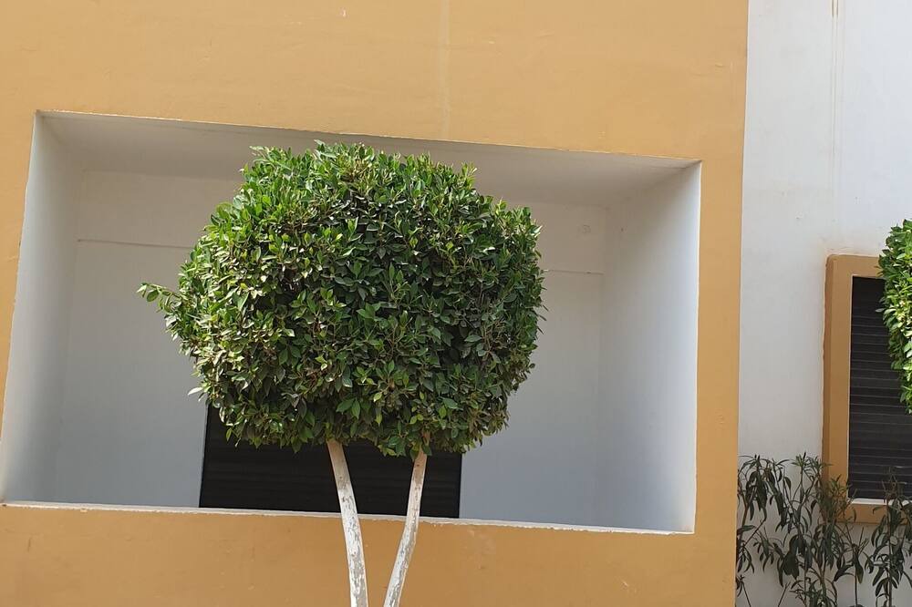 Photo of Outdoor in Marina