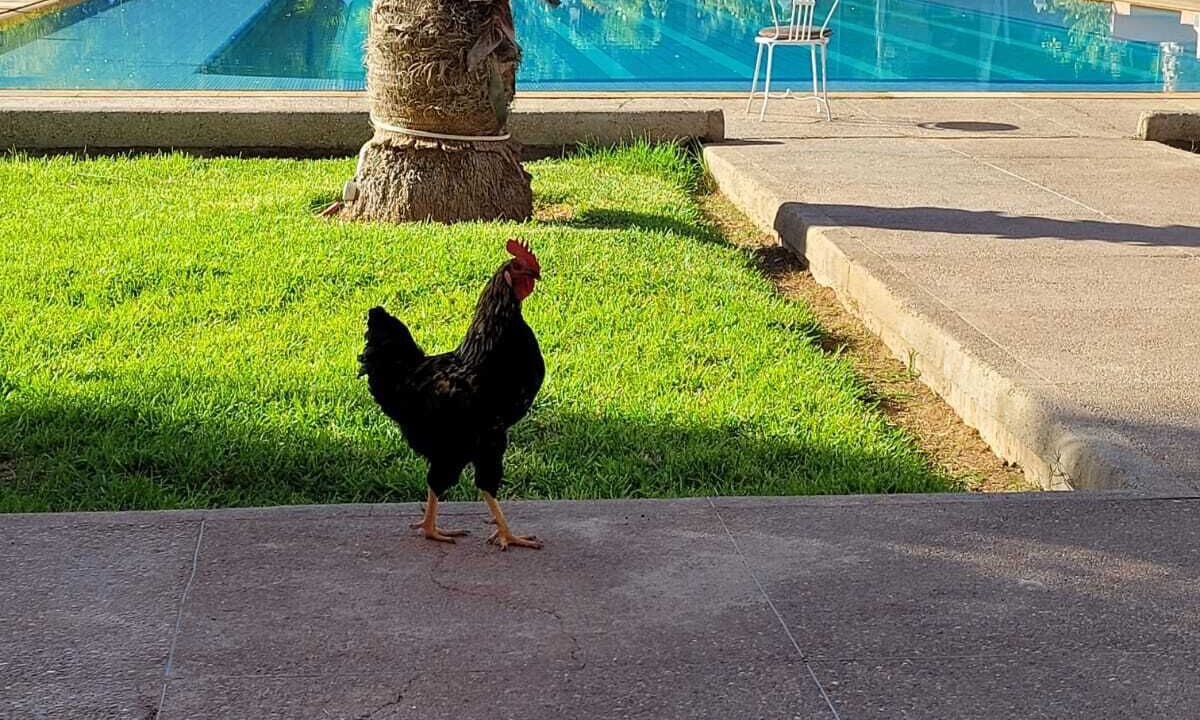 Photo of Outdoor in Aghouatim