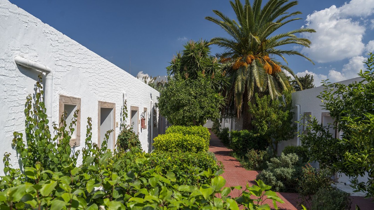 Photo of Outdoor in Hammamet Sud
