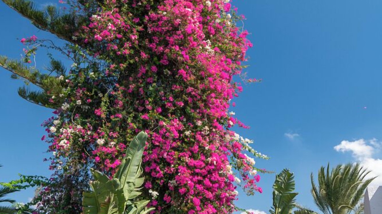Photo of Outdoor in Hammamet Sud