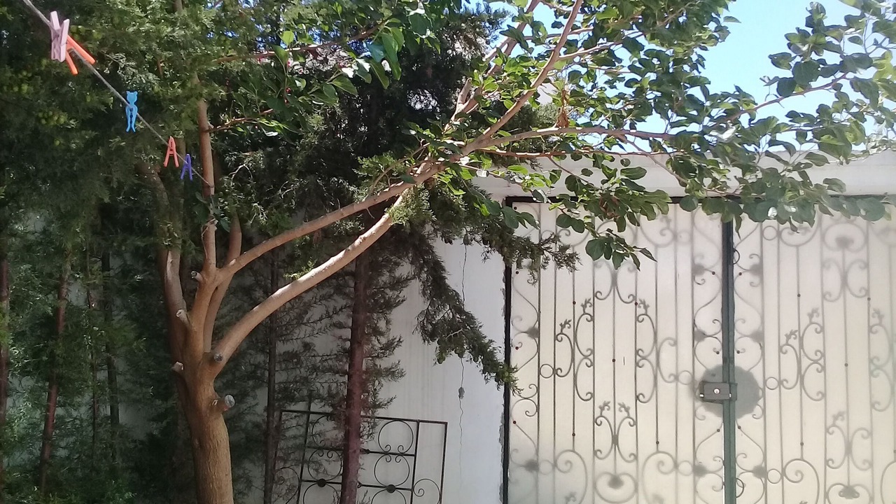 Photo of Outdoor in Bizerte