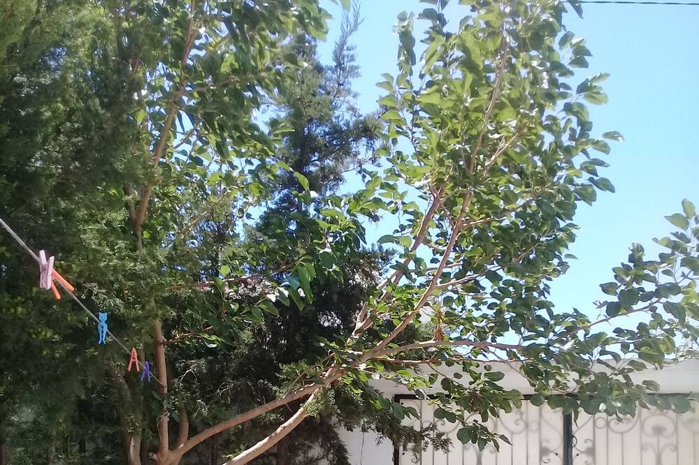 Photo of Outdoor in Bizerte