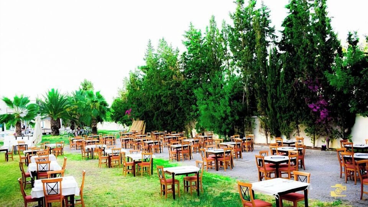 Photo of Others in Yasmine