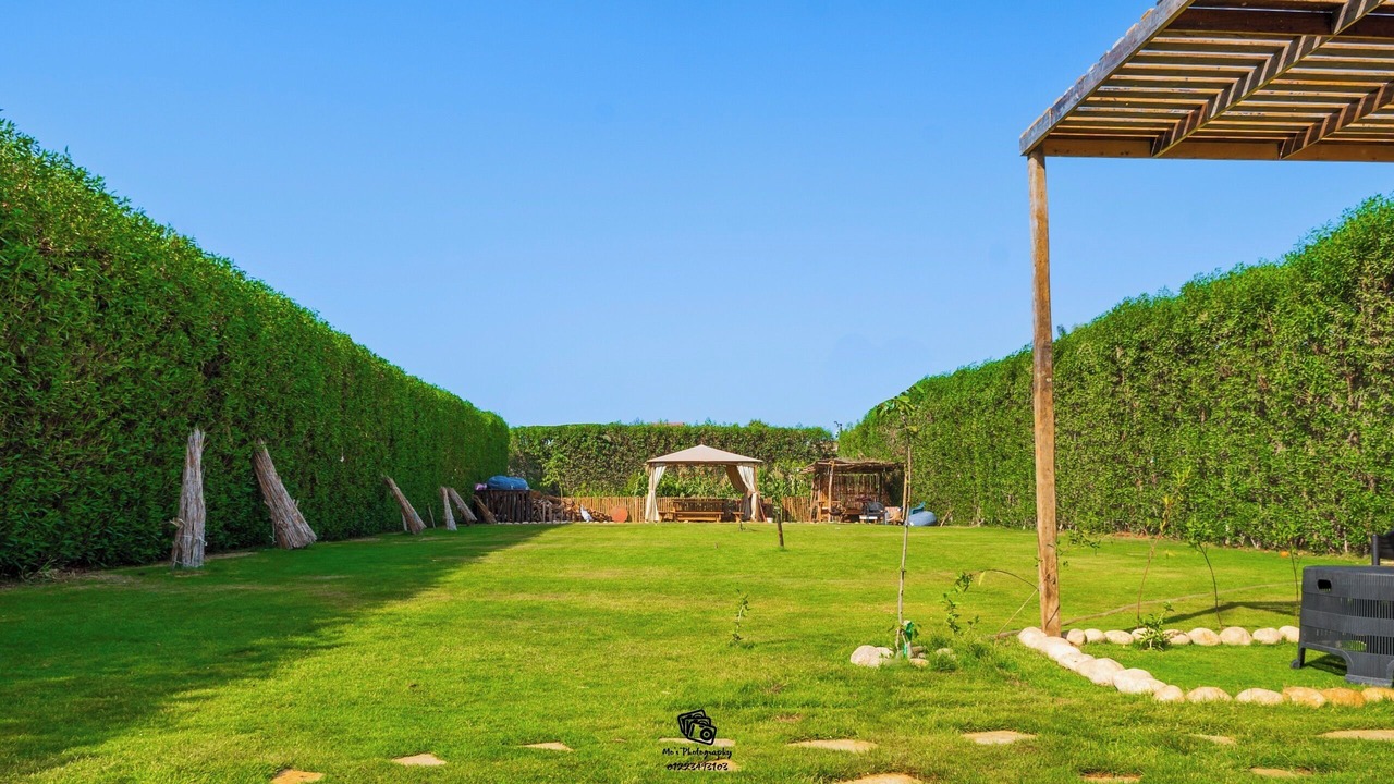 Photo of Outdoor in Abu Sir