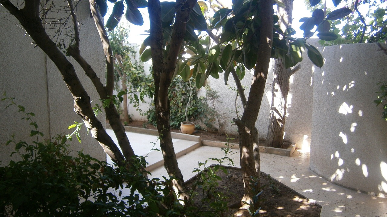 Photo of Outdoor in Soliman