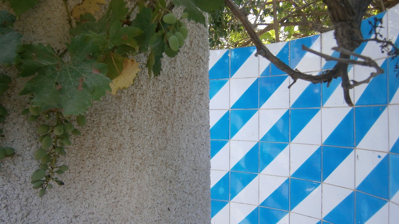 Photo of Outdoor in Soliman