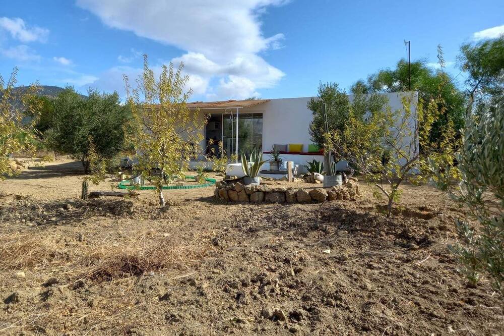 Photo of Outdoor in Grombalia