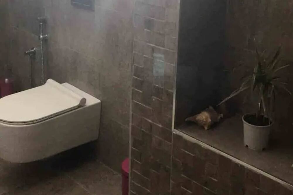 Photo of Bathroom in Tunis Centre