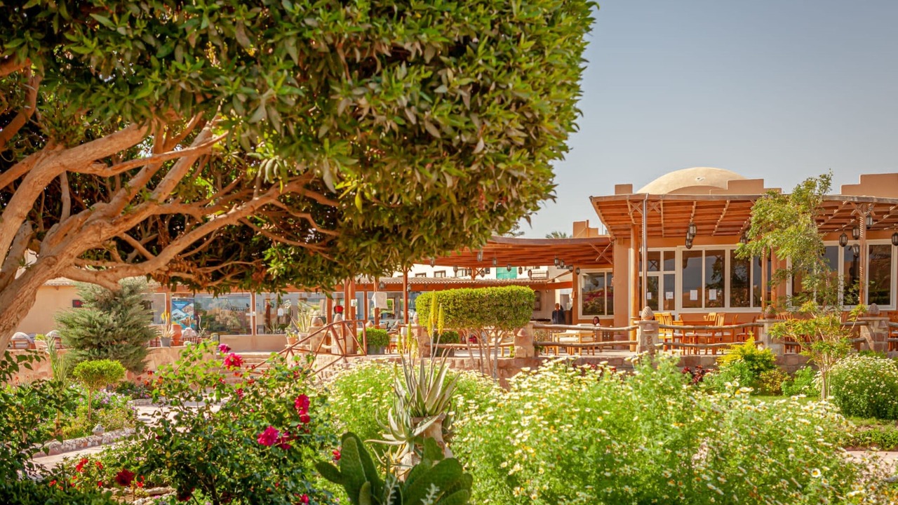 Photo of Outdoor in El Quseir