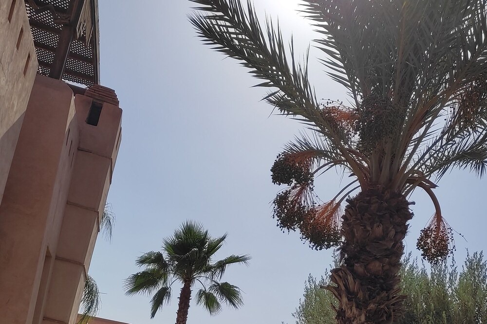 Photo of Outdoor in Annakhil
