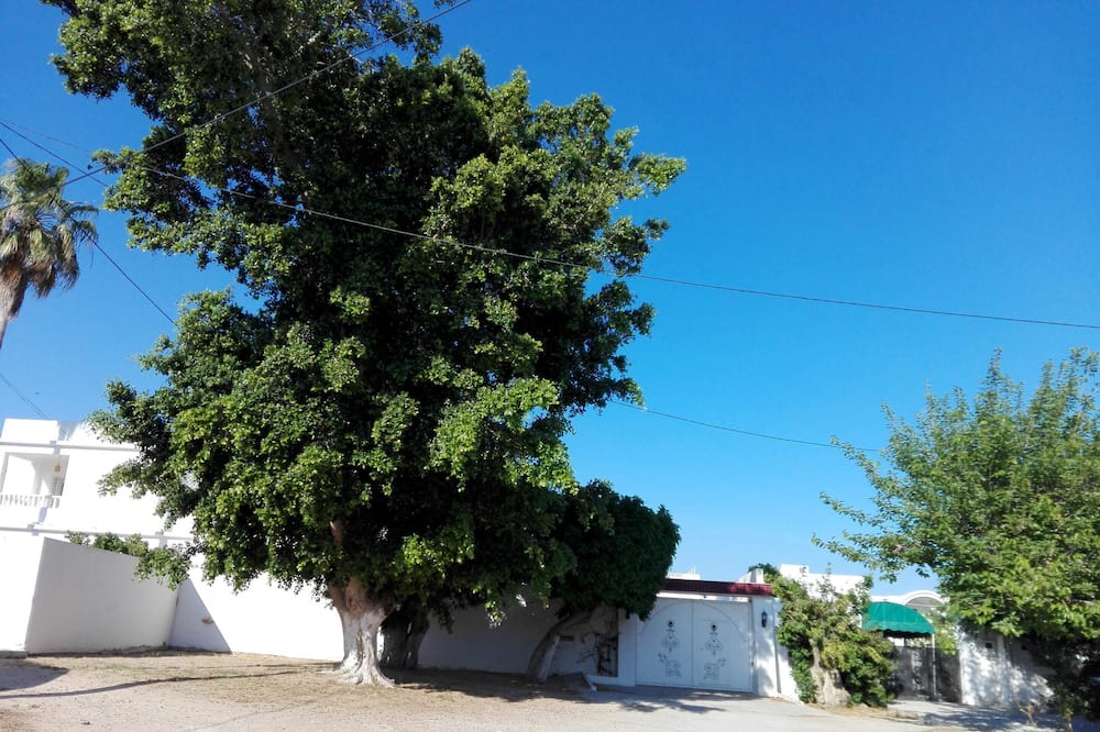 Photo of Outdoor in Hammamet Sud