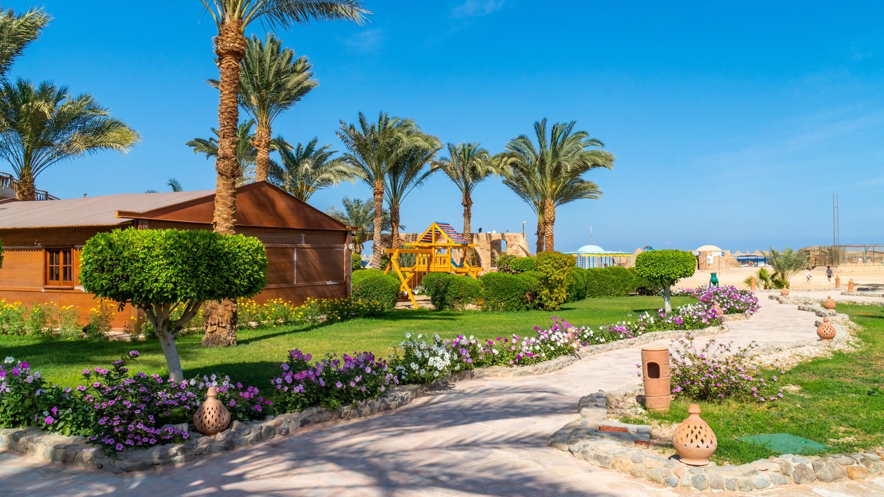 Photo of Outdoor in El Quseir
