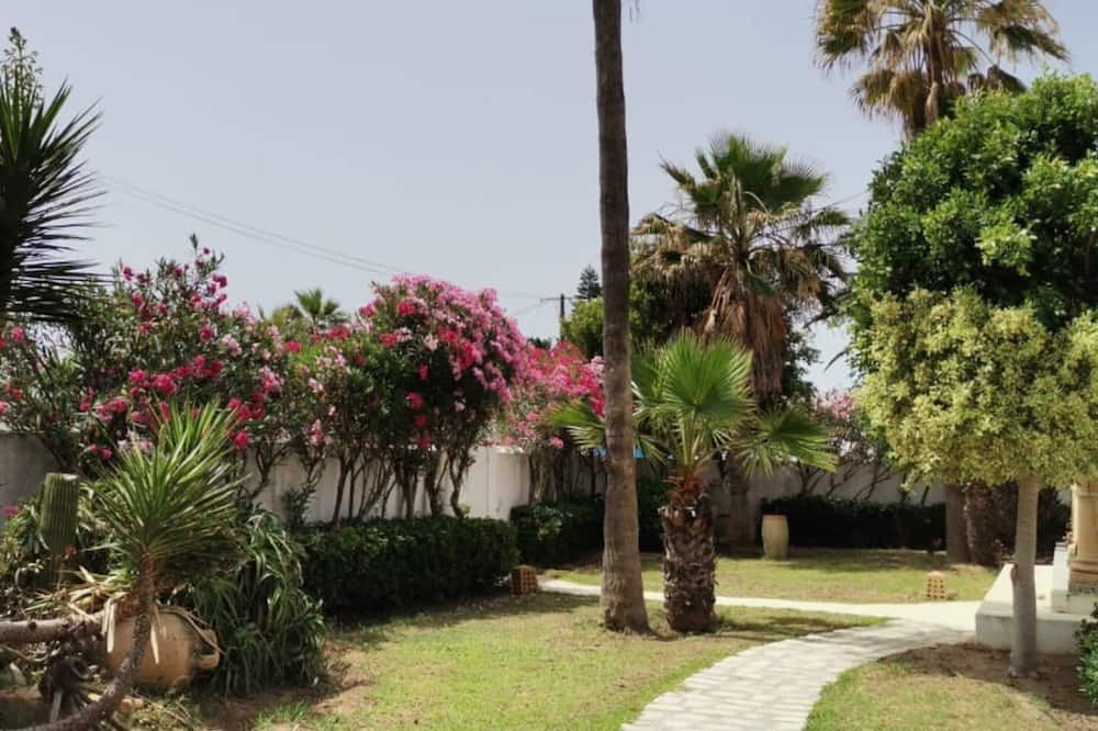 Photo of Outdoor in El Maamoura