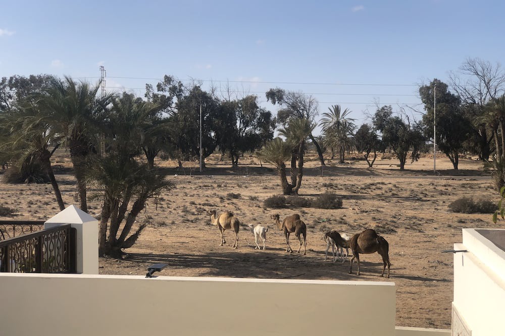 Photo of Others in Aghir