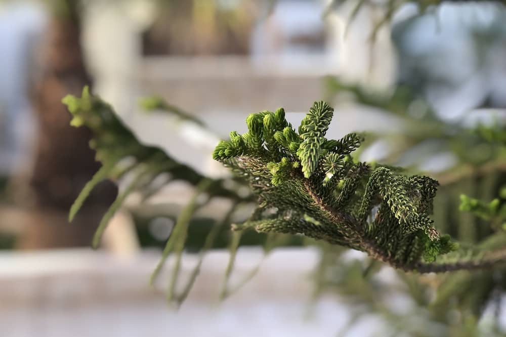 Photo of Outdoor in Aghir