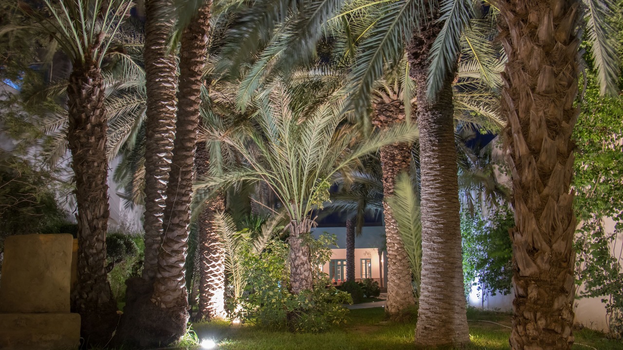 Photo of Outdoor in Mahdia