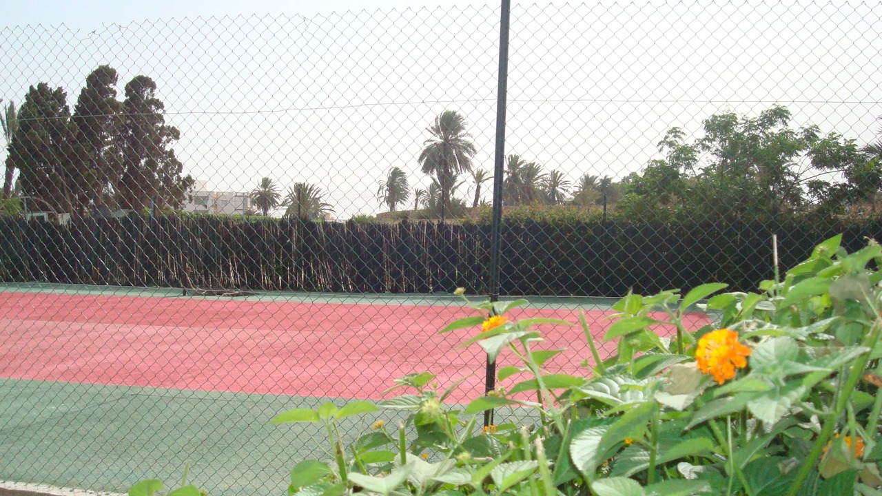 Photo of Others in Sqanes