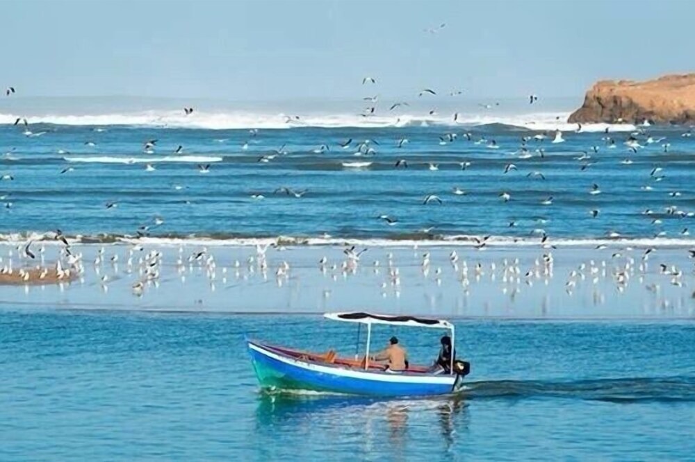 Photo of Others in Oualidia