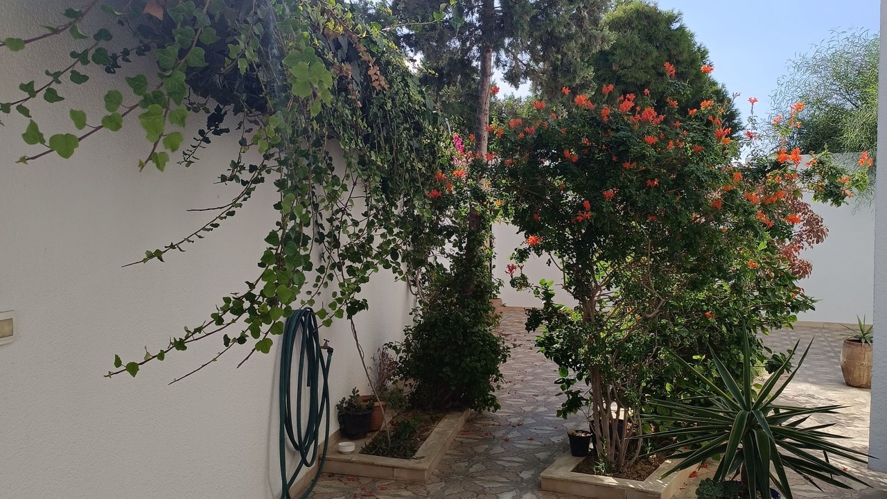 Photo of Outdoor in Hiboun
